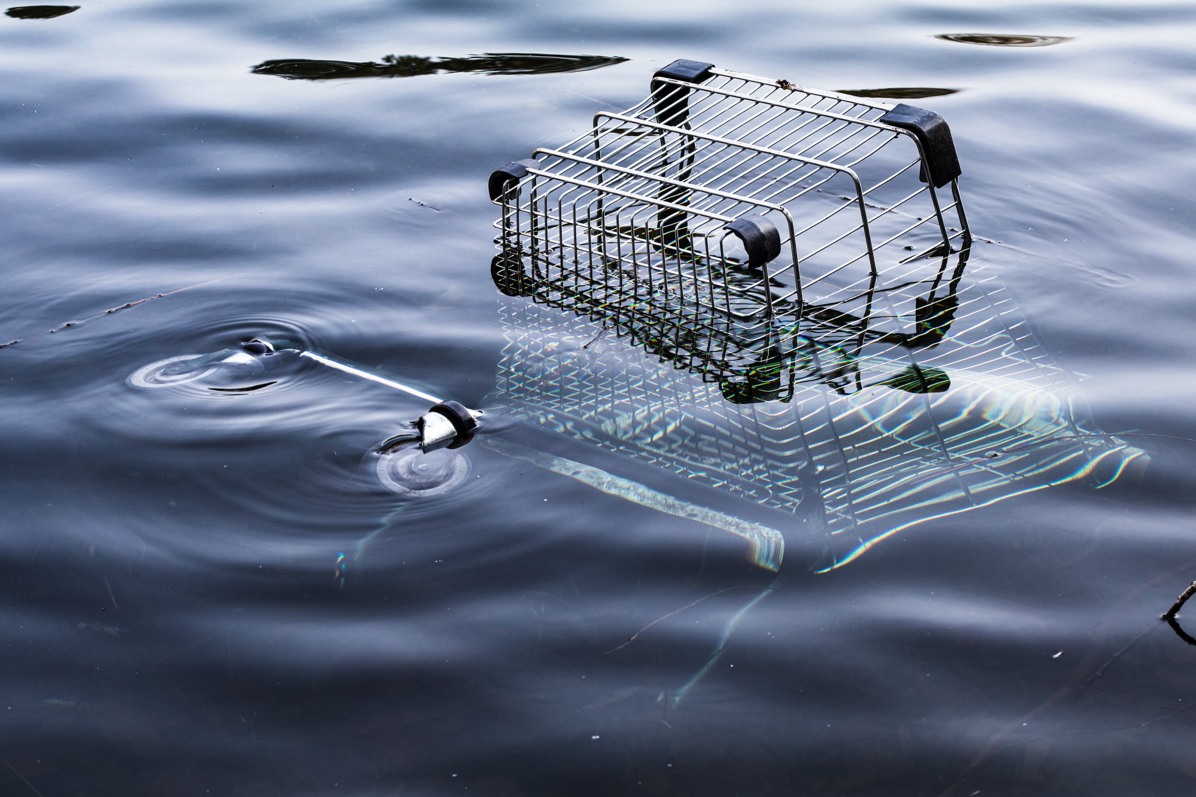 A shopping cart half submerged in a pond.